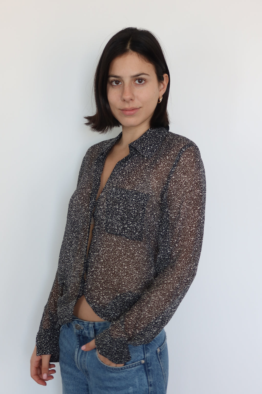 Diane von Furstenberg Sheer Printed Blouse
