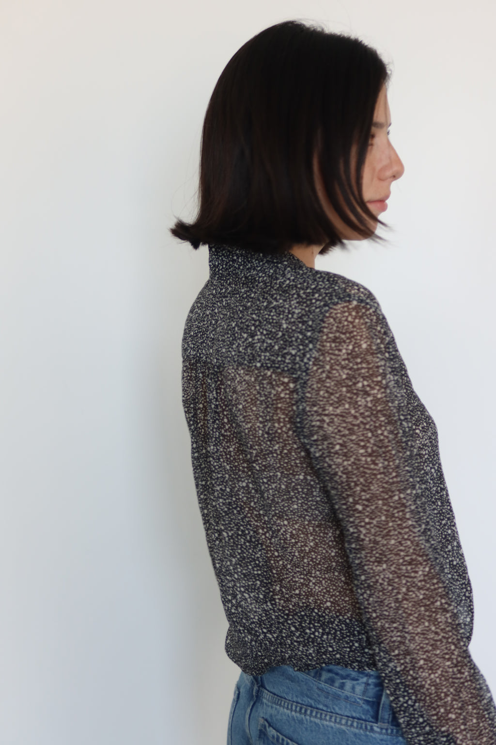 Diane von Furstenberg Sheer Printed Blouse