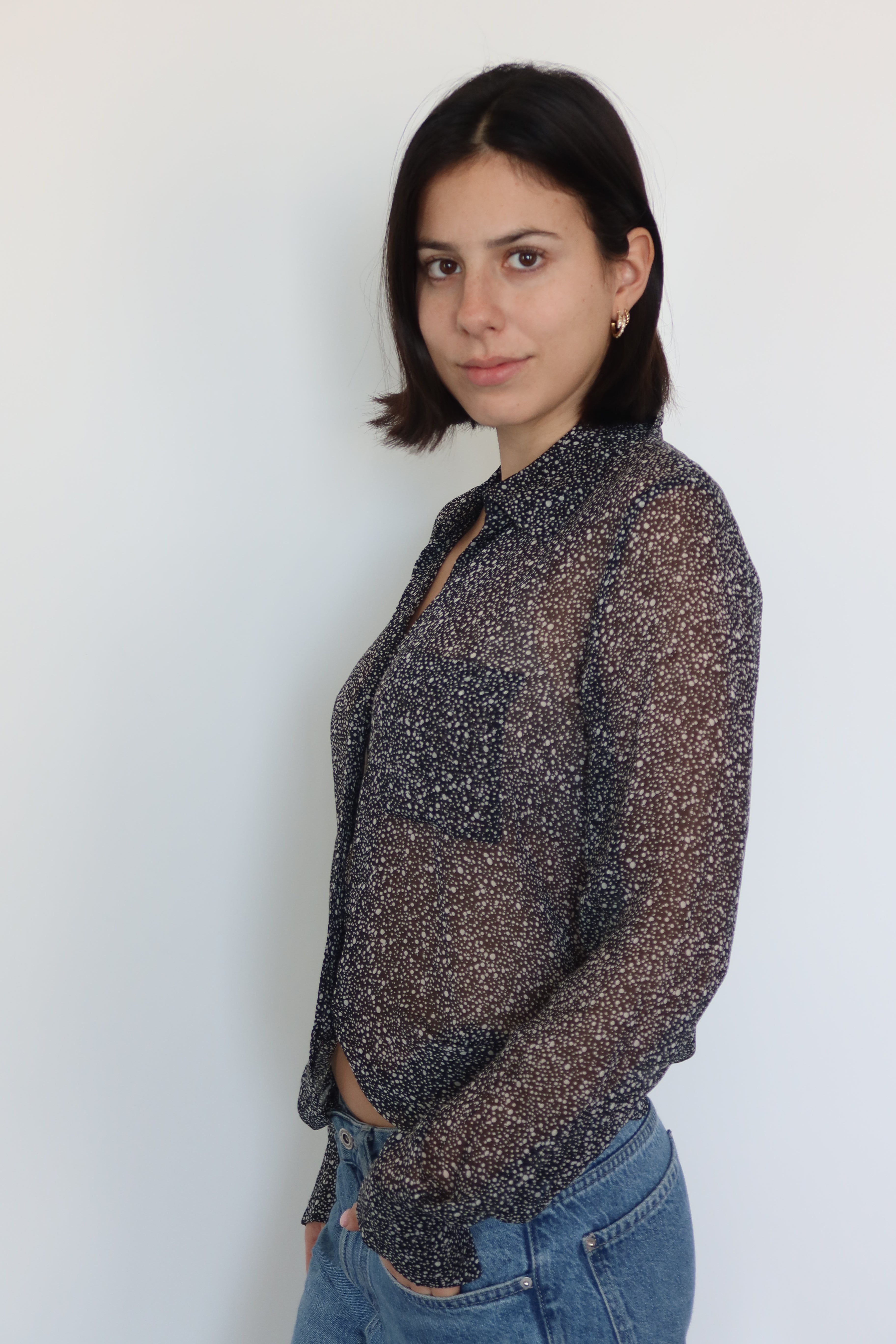 Diane von Furstenberg Sheer Printed Blouse