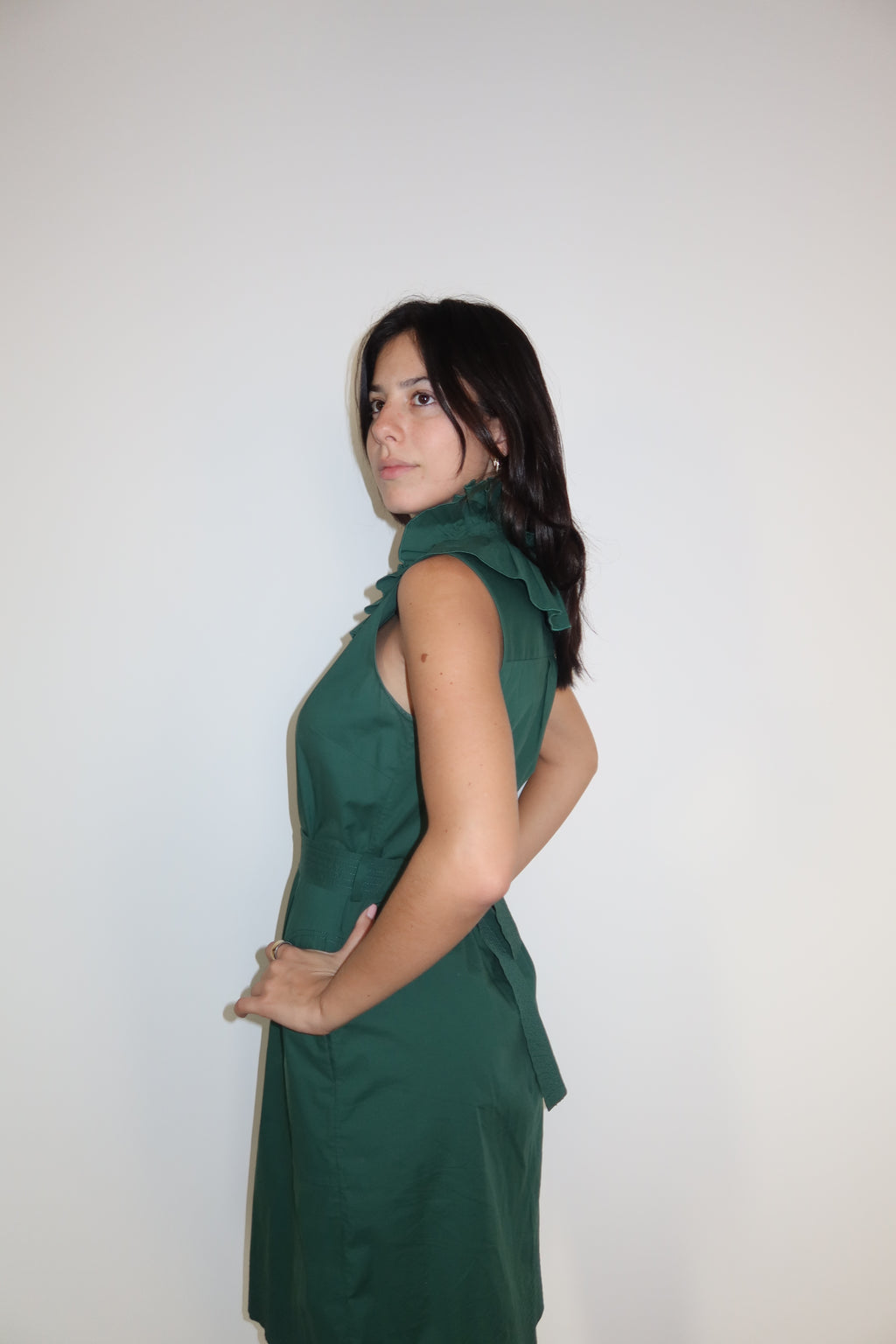 Oscar de la Renta Green Belted Midi Dress